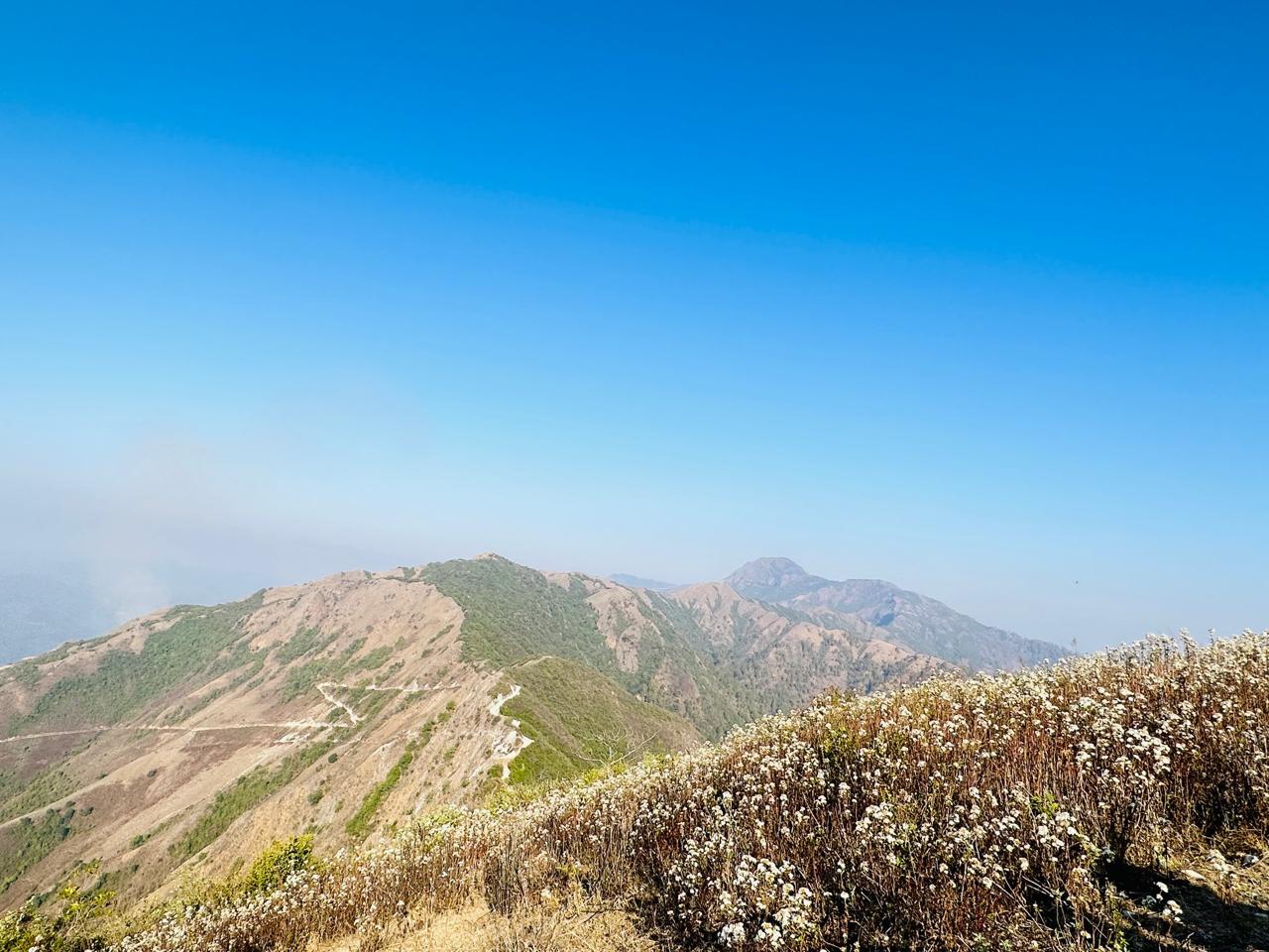 कालिकाठि